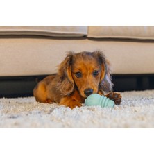 Mestore Beeztees Yavru Köpek Sumo Mını Dental Oyuncak Xs 3-6 kg - 556-626660