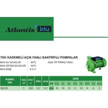 Mestore Atlantis CM20 1 Hp Tek Kademeli Santrifuj Pompa - 9996672821900