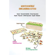 Özgürce Ahşap Montessori Sınıflandırma Kutusu Eğitici Oyuncak