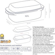 Nacario 15152 Kerros Cam Kapakli Dikdörtgen Rosto Tenceresi