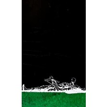 Nacario Swamp Thing Efsanesi: 2. Cilt