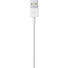 Nacario Lightning - USB Kablosu (1 M) ​​​​​​​