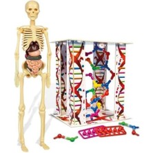 Nacario - 64297 - Ilk Keşiflerim - Insan Anatomisi