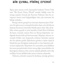 Nacario Japon Peri Masalları