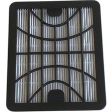 Nacario Elektrikli Süpürge Hepa Filtre - Siyah Plastik - 2 Adet - Fakir Ares - Modelleri Ile Uyumlu Ürünler Açıklamada