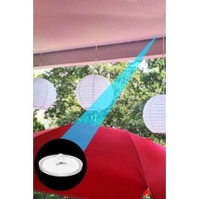 Nacario Balon Tavan ve Duvar Asma Aparatı 12 Adet Şeffaf Iz Bırakmayan