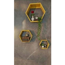 Safir Design 3'lü Dekoratif Altıgen Duvar Rafı Seti - Sert Plastik Modern Renk Seçenekli Geometrik Petek Raf