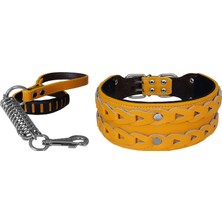 Mestore Markapet Elegance Deri Işlemeli Lüks Köpek Tasma Seti Xl 7 Cm*60-68 cm Sarı - DR-5001