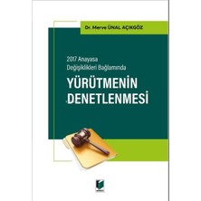 Nacario Yürütmenin Denetlenmesi: 2017 Anayasa Değişiklikleri Bağlamında