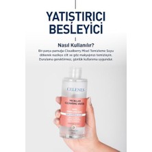 Nacario Cloudberry Misel Temizleme Suyu Kuru ve Hassas Ciltler (250 Ml)