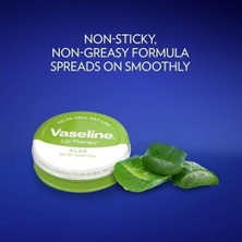 Nacario Lıp Balm Therapy Jel Aloe Vera 20GR