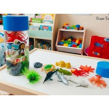 abnturk Şişedeki Okyanus Hayvanları Köpek Balığı, Yunus, Yengeç Yıldız Kaya Bitkiler 12 Adet Okyanus Set