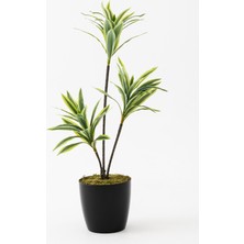 Güleç Yapay Çiçek Yapay Dracena 80 cm