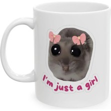Ivart I Am Just A Girl-Üzgün Hamster-Baskılı Porselen Standart  Kupa Bardak-Hediye-Nah