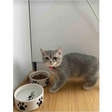 Tarçın Tasarım By Gizem Bağcı 2li Seramik Kedi Köpek Mama Kabı 12CM (300ML)