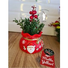 Tarçın Tasarım El Yapımı,çam Ağacı,yılbaşı Aranjman Saksı,yılbaşı Hediyesi,yılbaşı SÜSLERI(18*10CM Boyutunda)