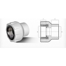 Mestore Ege Yıldız Pprc 40X1 1/4 Dişi Adaptör Gri - 9996669906443