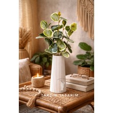 Tarçın Tasarım By Gizem Bağcı Modern Dekorasyon Için Şık Beyaz Çizgili Beton Çiçek Vazo (Yapay Çiçek Dahildir)