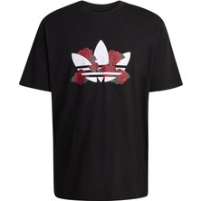 Adidas  Erkek Siyah  T-Shirt Gfx T KS7621