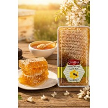 Çarşıbaşı Petekli Akasya Çiçek Balı 850 Gram