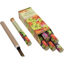 Starseven Wild Orchids Hexa
