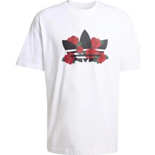 Adidas  Erkek Beyazs  T-Shirt Gfx T KS7614