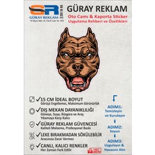 Güray Reklam Pitbull Temalı Oto Cam ve Kaporta Sticker (15 Cm)