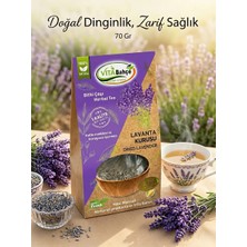 Vita Bahçe Lavanta Kurusu Bitki Çayı (70 Gr)