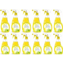 Omnipazar 12 x 500 ml Ihlamur Kokusu Sprey Oda ve Çamaşır Parfümü