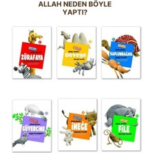 Palmiye Yayınları Allah Neden Böyle Yaptı? 6 Kitap Takım