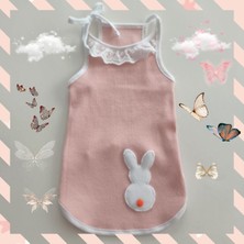 Somon Rengi Kaşkorse Penye Kedi Köpek Kıyafeti