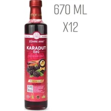 İlk El Grup Karadut Özü Net Miktar: 670GR 12 Adet Iegtgrs-34