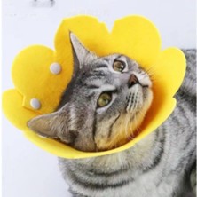 Freedom Storee Evcil Hayvan M Boy Keçe Elizabeth Yakalığı