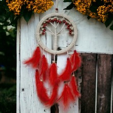 Freedom Storee Rüya Kovan Hayat Ağacı Dream Catcher
