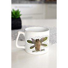 Ivart Are You Peri - Sen Peri Misin - Kedi Baskılı Porselen Standart Lüks Kupa Bardak-Hediye