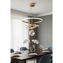 TERRA lighting Çember Tek Top LED Avize, Çember Sarkıt LED Avize, 3 Renk LED Avize, Modern Lüks Salon Avize