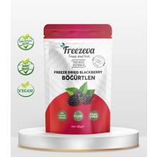 Freezeva Dondurularak Kurutulmuş Böğürtlen 20 gr - Freeze Dried Böğürtlen Kuru Meyve Cipsi