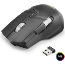 ForWhat Büro Ev Ofis Bilgisayarı Için Siyah 10TUŞ 1000HZ 10K Dpı Dual Rgb Kablosuz Gaming Mouse