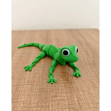 Oynar Eklemli, Renkli, Sevimli Kertenkele