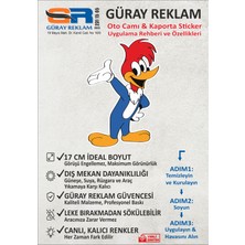 Güray Reklam Woody Woodpecker Araç Sticker 17CM
