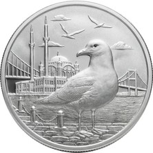 Agakulche Istanbul Martısı Gümüş Sikke Coin