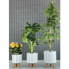 Bahçem Ayaklı Ahşap 3'lü Dekoratif Yuvarlak Saksı Seti Plastik Iç Saksılı (Çiçeksiz)