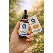 Artvinatural Çakşır Kökü Ekstraktı – Özü