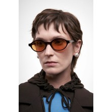 Bilge Karga Harvey Brown Light Brown Güneş Gözlüğü