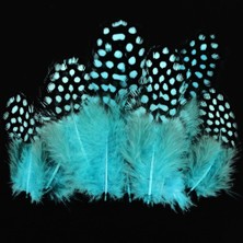 Oktay Sesal Decor Blue Bırd Feather 50 Adet Puantiyeli Mavi Siyah Kuş Tüyü Mavi Kuş Tüyü Mavi Şeffaf Balon Tüyü