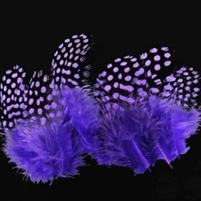 Oktay Sesal Decor Purple Bırd Feather 50 Adet Puantiyeli Mor Siyah Kuş Tüyü Mor Kuş Tüyü  Mor Şeffaf Balon Tüyü