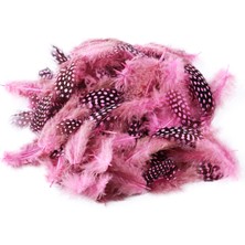 Oktay Sesal Decor Pink Bırd Feather 50 Adet Puantiyeli Pembe Siyah Kuş Tüyü Pembe Kuş Tüyü Şeffaf Balon Tüyü