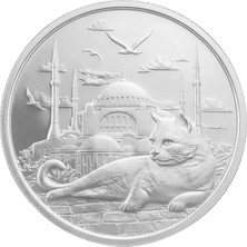 Agakulche Istanbul Kedisi Gümüş Sikke Coin