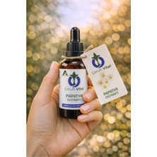 Artvinatural Papatya Ekstraktı – Özü