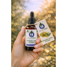 Artvinatural Yapışkanlı Andız Ekstraktı – Özü